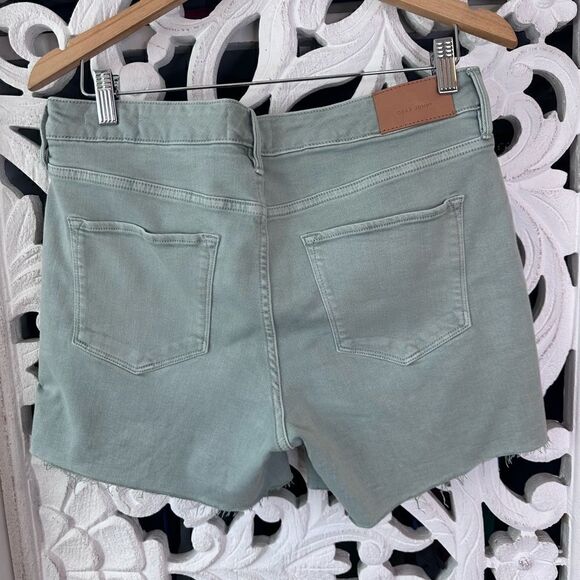 DEAR JOHN DENIM JULIAN HIGH RISE SHORTS CUCUMBER SIZE 30 - Picture 6 of 13